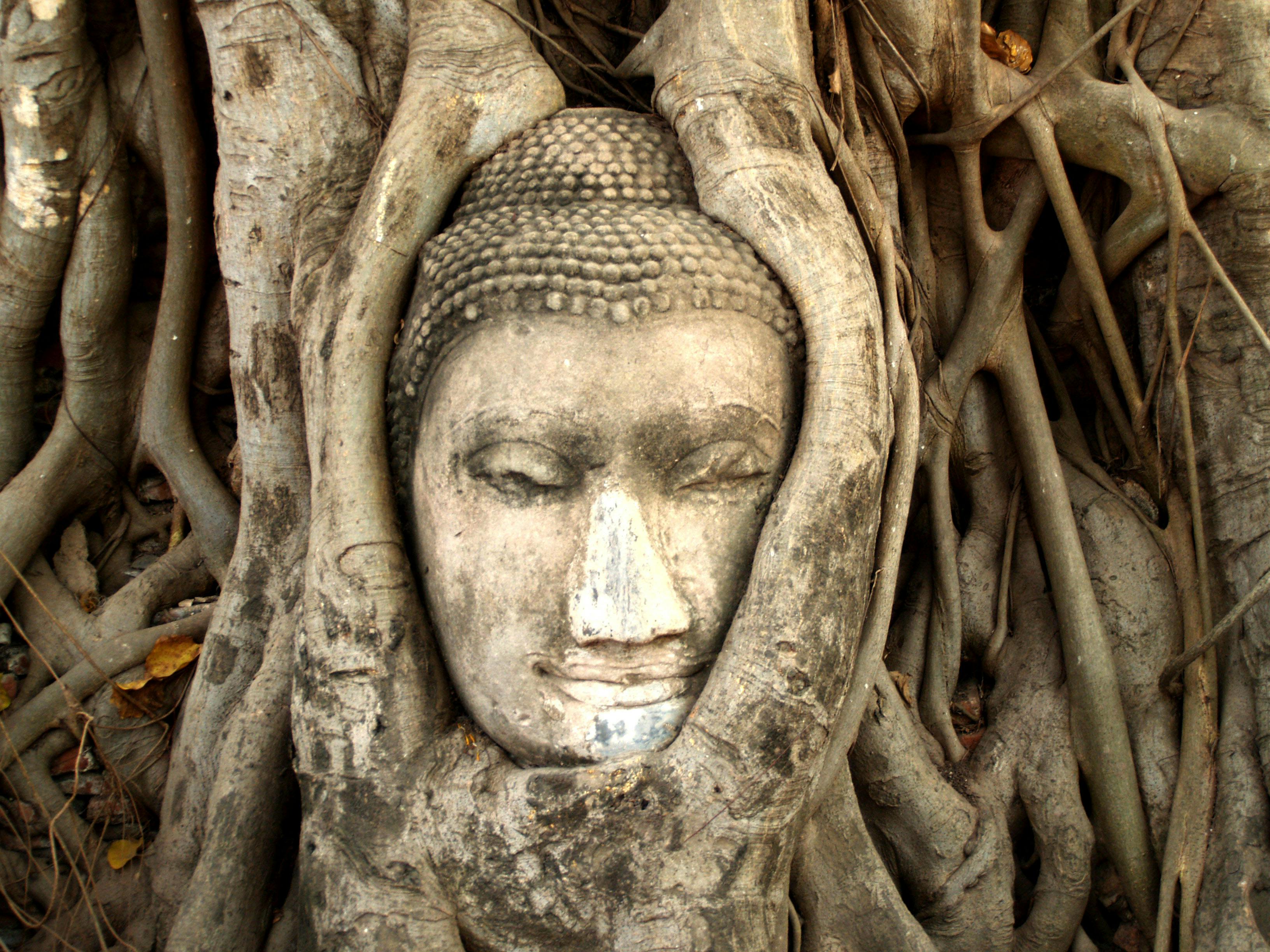 Ayutthaya